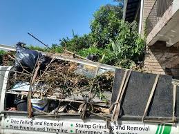 Best Mattress Disposal  in Rock Creek, AL